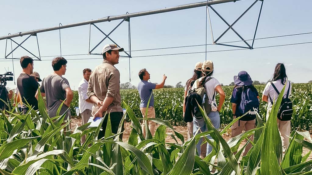 Mejora el ánimo de inversión de los productores