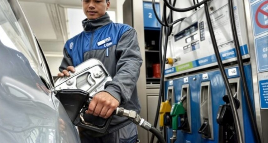 Aumentaron las naftas 1,75%: &iquest;Cu&aacute;nto vale el litro?
