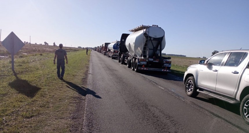 Volc&oacute; en la ruta 226 un cami&oacute;n que transportaba vacunos
