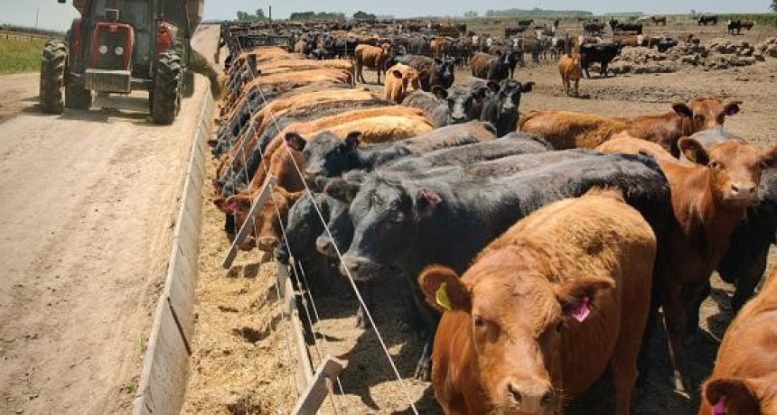 Estafa millonaria involucra a una consignataria olavarriense