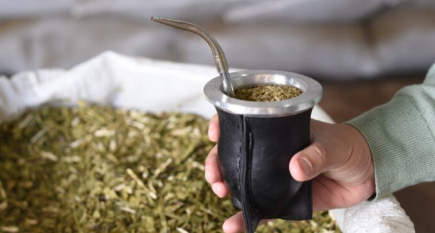 &iquest;Qu&eacute; pa&iacute;s se lleva el 77% del total de yerba que exporta la Argentina?
