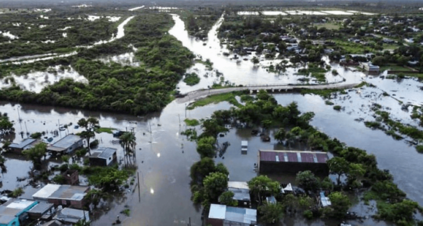 Bah&iacute;a Blanca: alambrados arrasados y hacienda mezclada