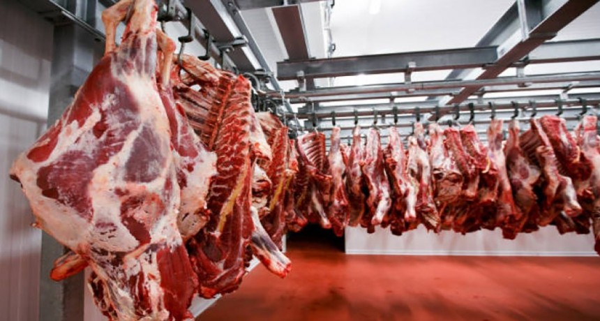 Fuerte ca&iacute;da en las exportaciones de carne argentina