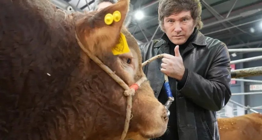 Milei busca acercarse de nuevo al campo: &ldquo;Es el mejor del mundo&rdquo;