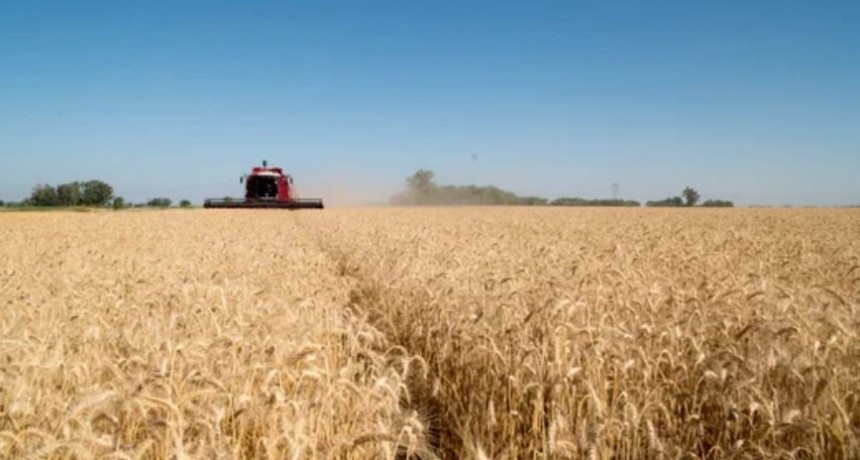 Supercosecha: Argentina podr&iacute;a alcanzar 251 millones de toneladas 