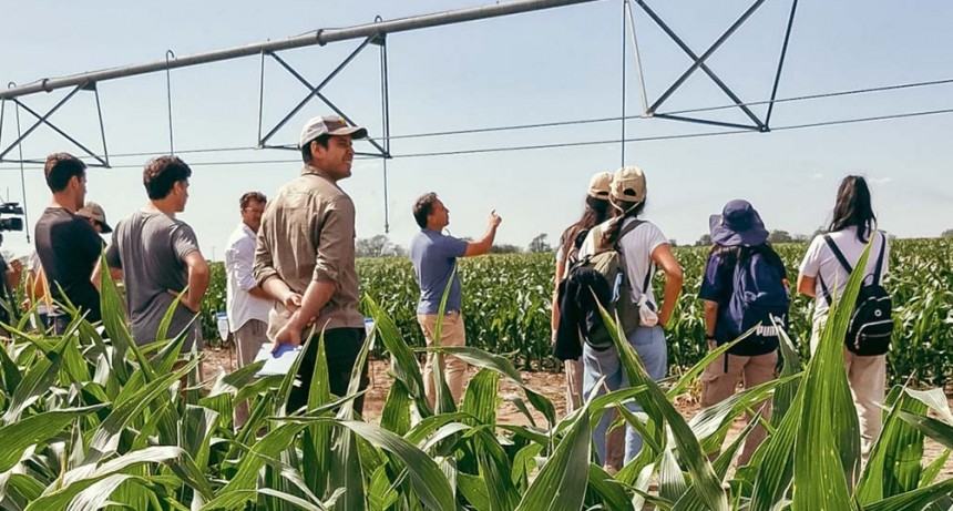 Mejora el &aacute;nimo de inversi&oacute;n de los productores