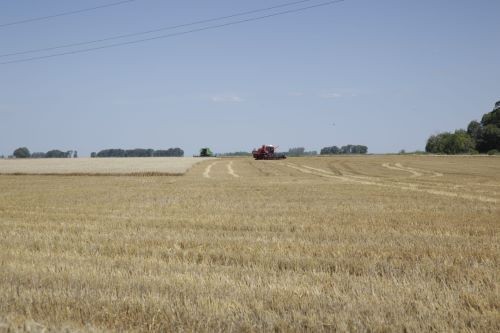 R&eacute;cord hist&oacute;rico de exportaciones agroindustriales: las DJVE alcanzaron 12,6 millones de toneladas en marzo de 2026