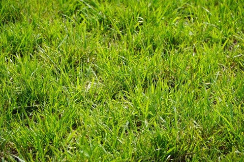 El agua como eje clave: se realizar&aacute; el Simposio Regional Fertilidad 2026 en La Pampa