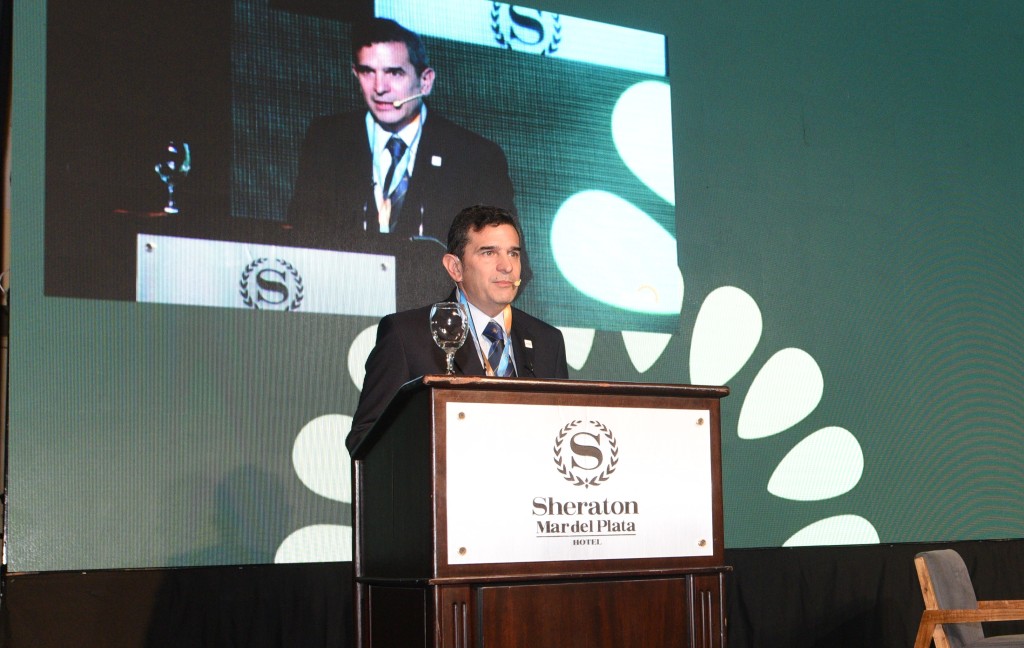 Girasol argentino en auge: producci&oacute;n crece 94% y proyectan un &ldquo;mar de girasol&rdquo; con foco exportador