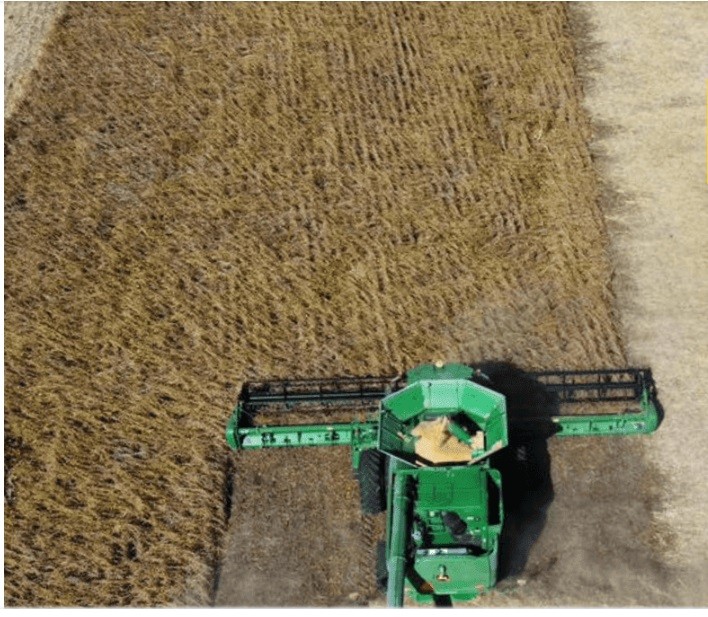 Soja y ma&iacute;z con cosecha r&eacute;cord: proyecciones superan promedios hist&oacute;ricos, pero caen man&iacute; y sorgo en C&oacute;rdoba 