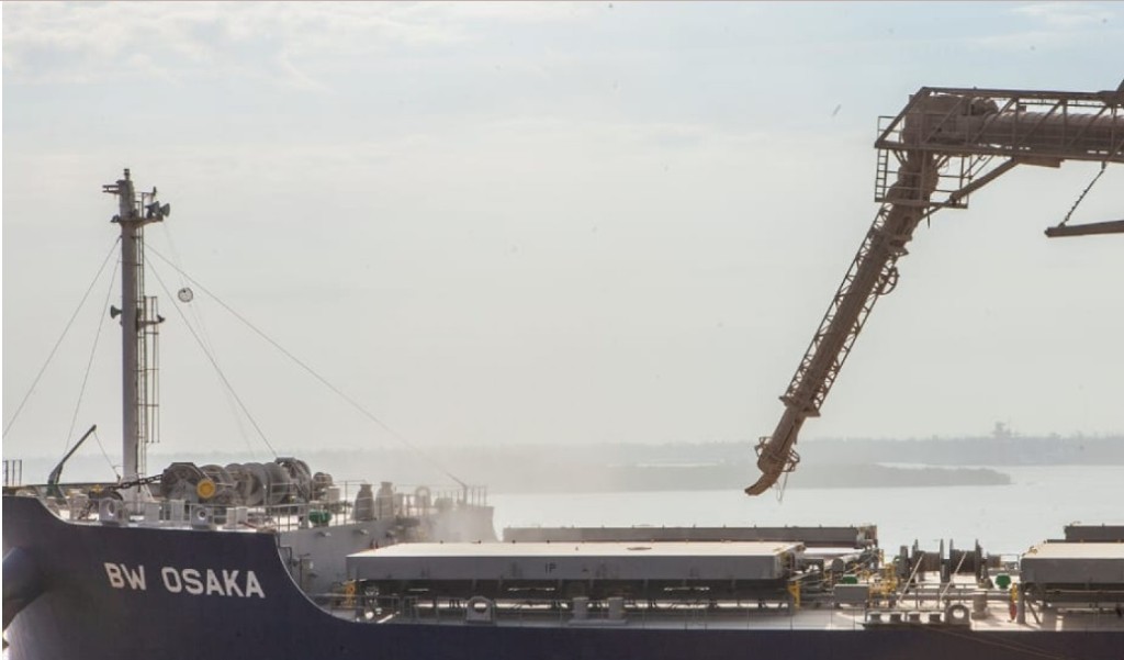 SENASA abre la inscripci&oacute;n para exportar granos de girasol a China hasta el 3 de mayo