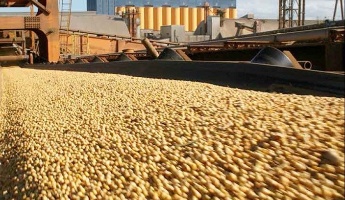 El Complejo Agroindustrial reporta exportaciones por USD 12.218 millones en el primer trimestre de 2026
