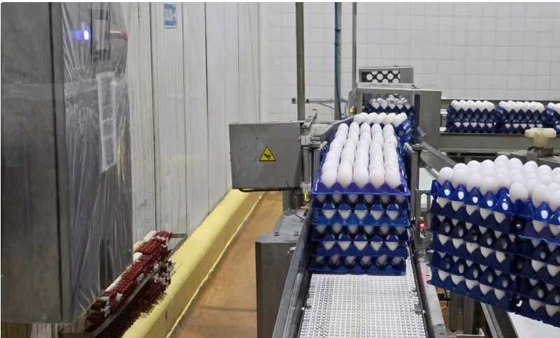 Ovoproductos de Entre R&iacute;os: refuerzan controles de inocuidad y crecen las exportaciones a mercados exigentes