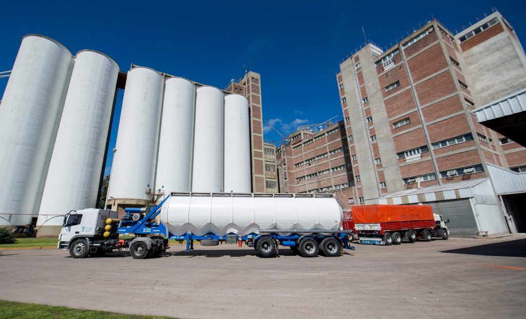 La molienda de girasol alcanz&oacute; su nivel m&aacute;s alto en 17 a&ntilde;os en marzo de 2026