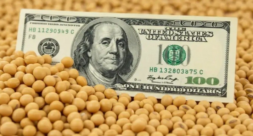 El agro proyecta US$ 35.375 millones en 2026: m&aacute;s ma&iacute;z y mejores precios impulsan las divisas