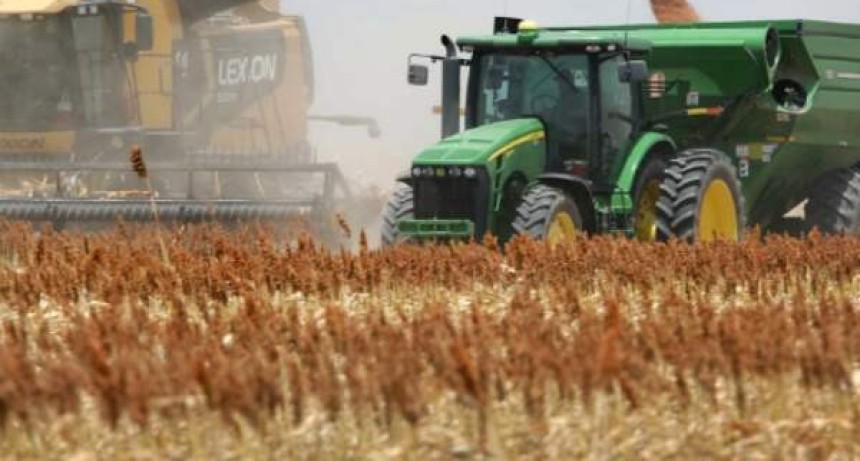 Cosecha de sorgo avanza al 15,5% en Argentina con buenos rindes pese a las lluvias