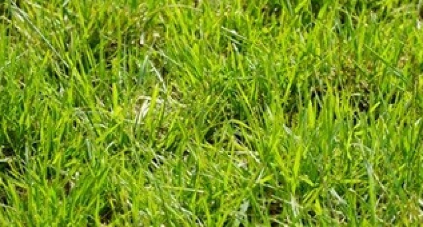 El agua como eje clave: se realizar&aacute; el Simposio Regional Fertilidad 2026 en La Pampa