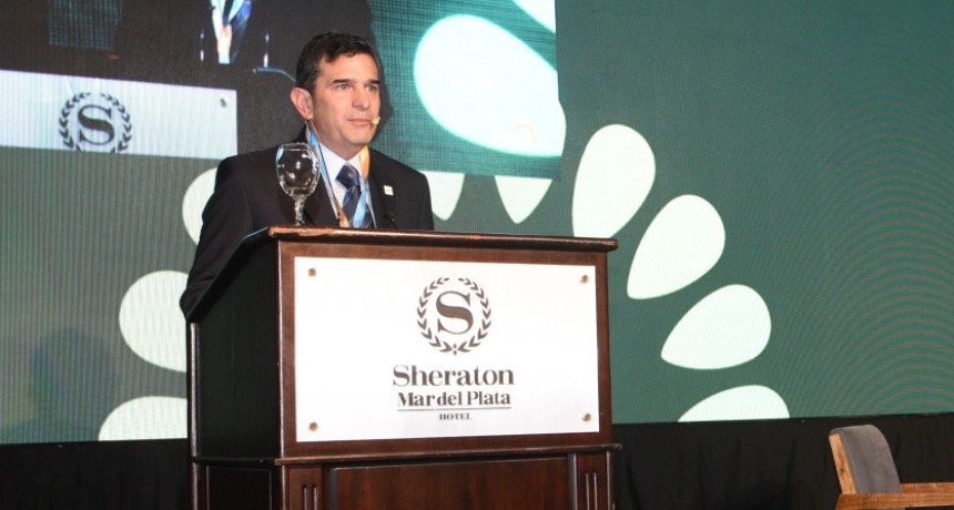 Girasol argentino en auge: producci&oacute;n crece 94% y proyectan un &ldquo;mar de girasol&rdquo; con foco exportador