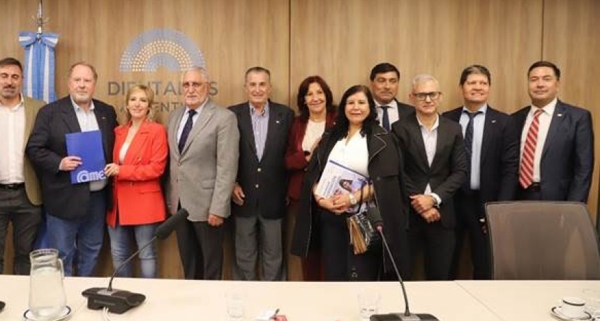 En Diputados, CAME present&oacute; propuestas para aliviar la situaci&oacute;n de las pymes