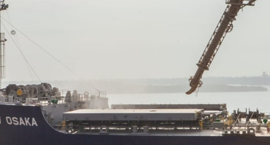 SENASA abre la inscripci&oacute;n para exportar granos de girasol a China hasta el 3 de mayo