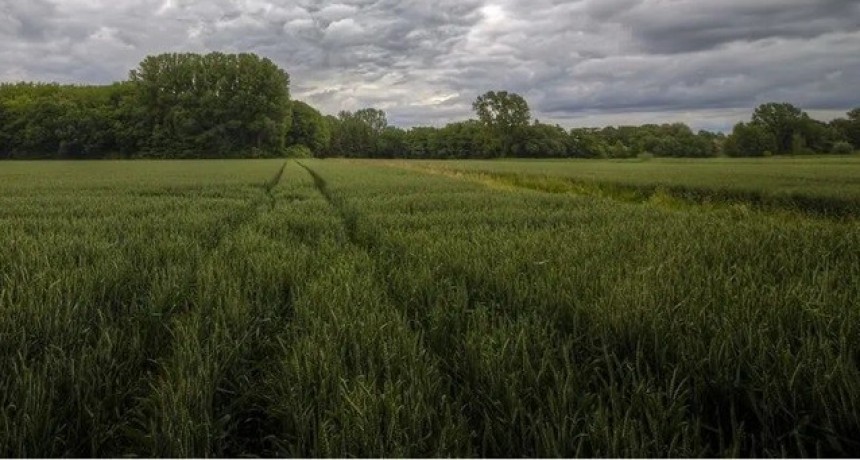 Clima: suben las temperaturas, lluvias dispares y riesgo de heladas en el &aacute;rea agr&iacute;cola