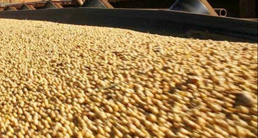 El Complejo Agroindustrial reporta exportaciones por USD 12.218 millones en el primer trimestre de 2026