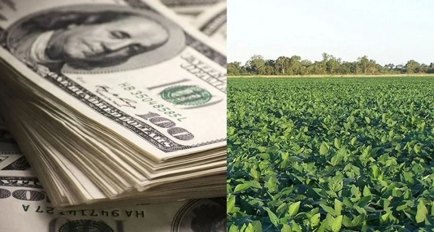 Suman a la yerba mate y a la carne caprina al d&oacute;lar agro