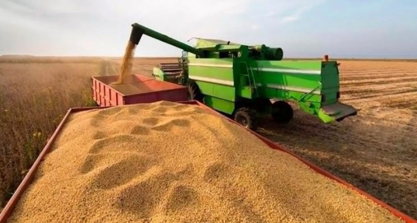 Soja: la cosecha avanza y los rindes no mejoran, pero se mantiene la estimaci&oacute;n de producci&oacute;n