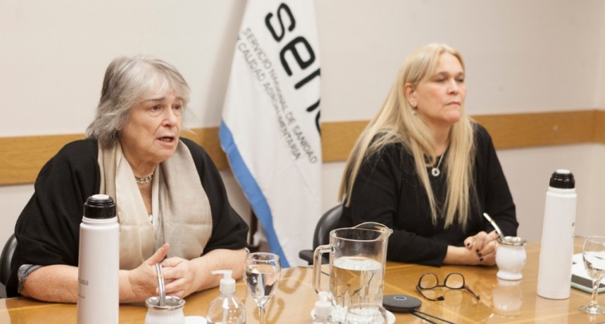 Influenza aviar: Se convoc&oacute; a la Comisi&oacute;n Nacional Av&iacute;cola para evaluar estrategias de vacunaci&oacute;n
