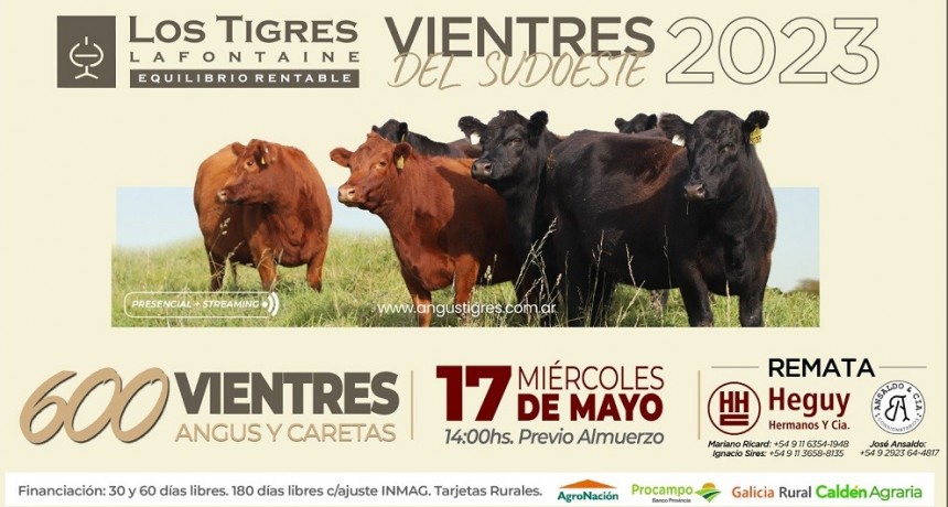El 17 de mayo se realiza el remate de vientres de Caba&ntilde;a Los Tigres de Lafonaine