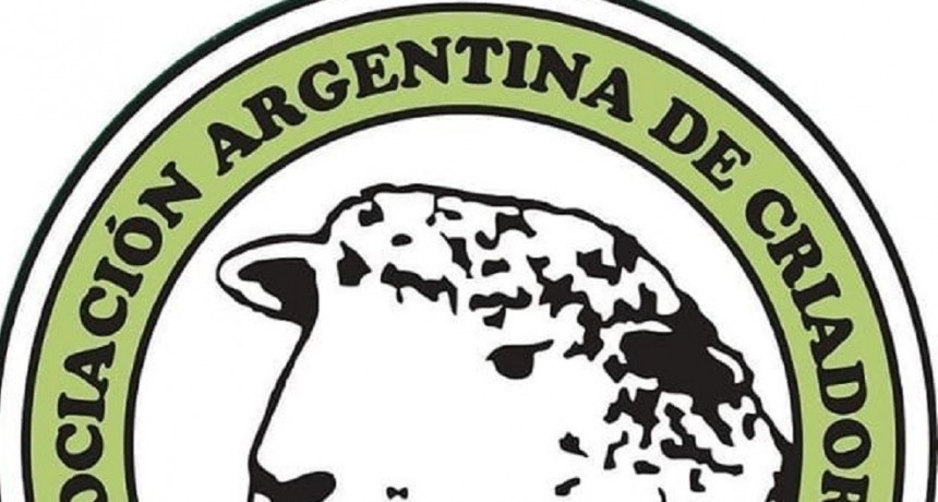 La ganader&iacute;a ovina no pasa por su mejor momento