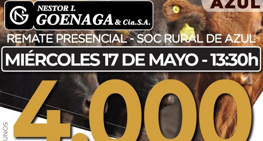 Este mi&eacute;rcoles se realiza el remate de N&eacute;stor I.Goenaga y C&iacute;a