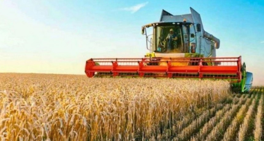 Estiman que las exportaciones de trigo y cebada aumentar&aacute;n 49%
