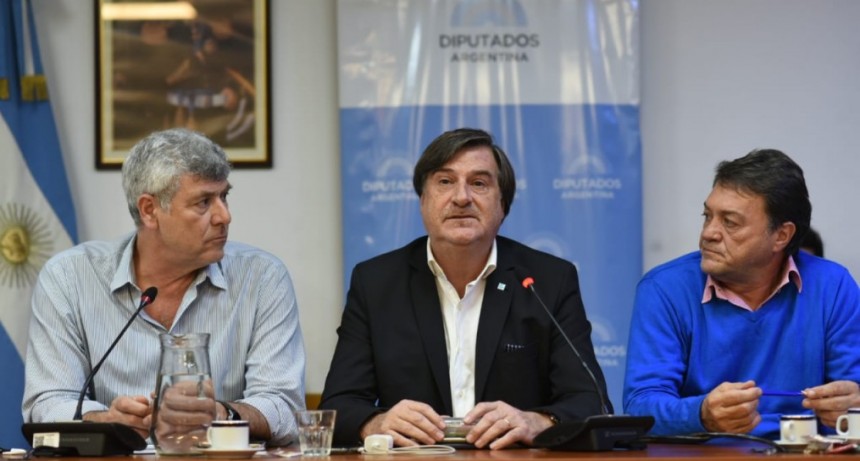Influenza aviar: Se present&oacute; la situaci&oacute;n epidemiol&oacute;gica en la Comisi&oacute;n de Agricultura de Diputados