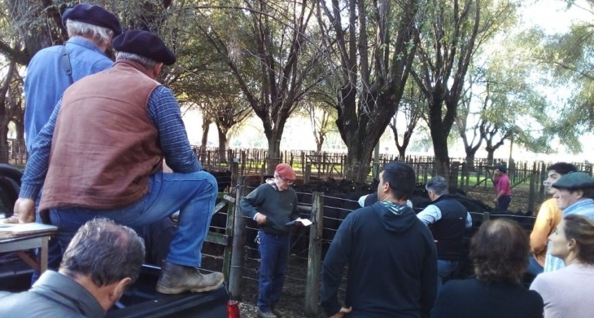 Tras el remate de Alzaga Unzu&eacute; y C&iacute;a, el martillero hizo un an&aacute;lisis de las ventas