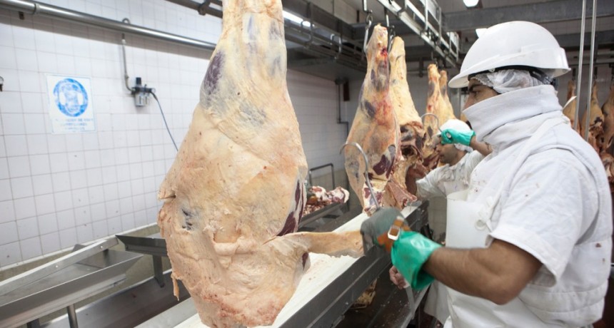 Las exportaciones de carne de abril bajaron casi un 4%