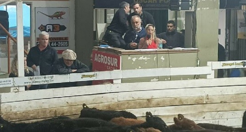 La Provincia de Buenos Aires realiz&oacute; su Primer Remate Ganadero Agroecol&oacute;gico