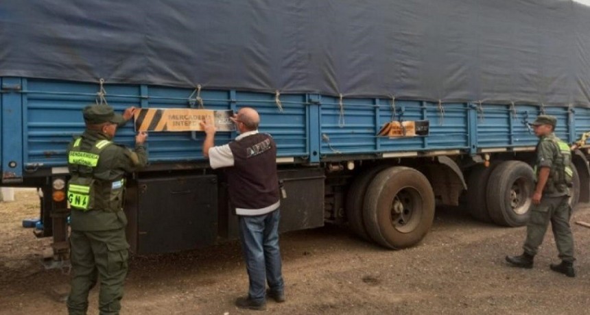 La AFIP detect&oacute; camiones que transportaban granos sin registro