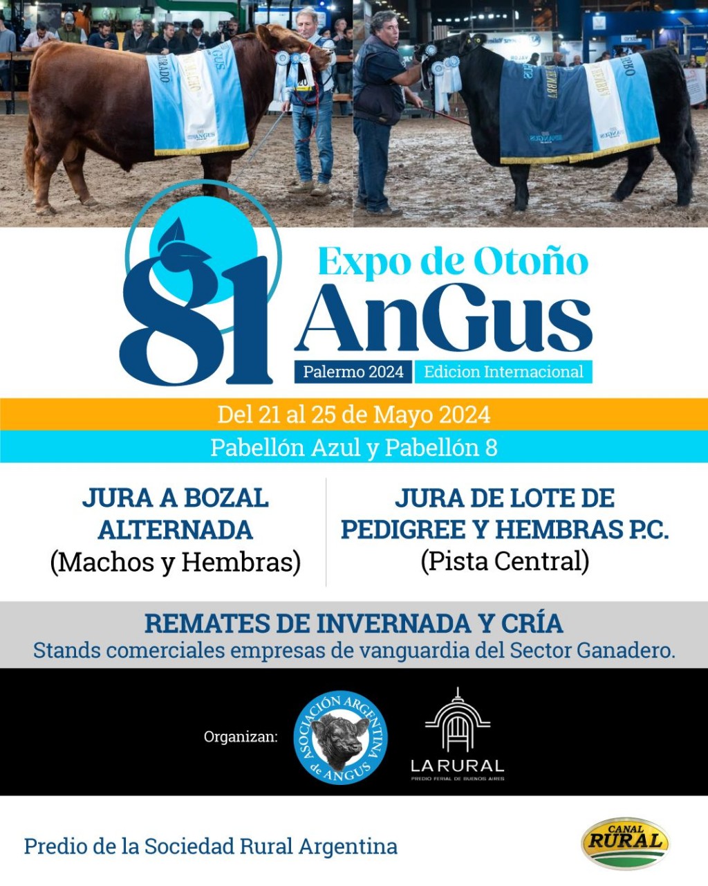 Optimismo de los consignatarios para los remates de la 81ª Expo Angus de Otoño