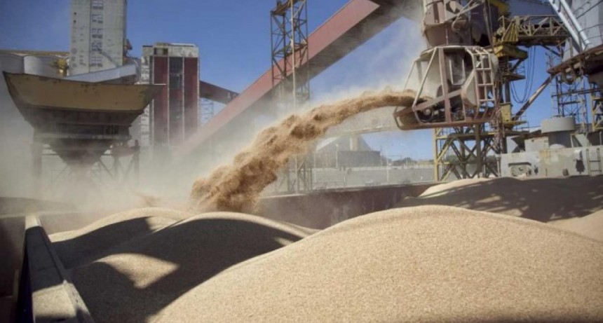 La liquidaci&oacute;n de divisas del agro mejor&oacute; en abril con relaci&oacute;n a marzo