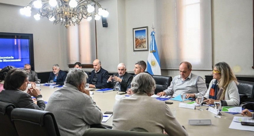 El Gobierno Nacional reuni&oacute; por segunda vez al Comit&eacute; de Crisis para combatir el Spiroplasma