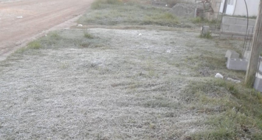 Cay&oacute; una de las primeras heladas del a&ntilde;o