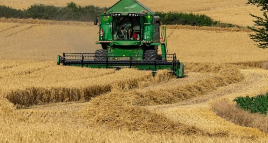 El sector triguero dice que se pueden alcanzar rendimientos r&eacute;cord en esta campa&ntilde;a