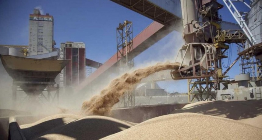 Preocupa al gobierno la demora en vender la cosecha gruesa por parte de los productores