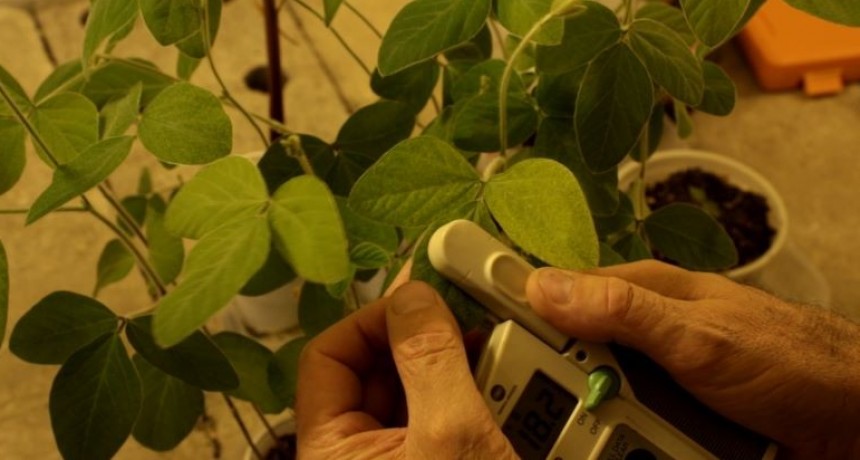 El gobierno define una medida clave para el campo: la baja de aranceles de importaci&oacute;n a fertilizantes y herbicidas
