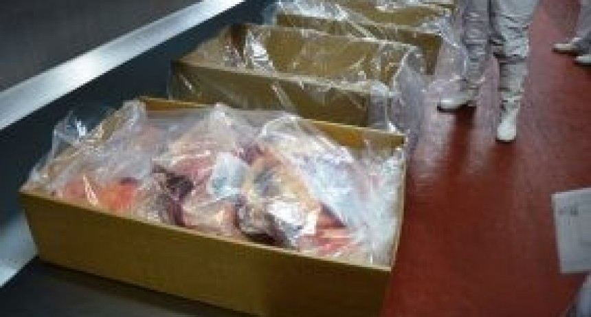 Las exportaciones de carne vacuna crecieron un 25,1% interanual en el primer trimestre del a&ntilde;o