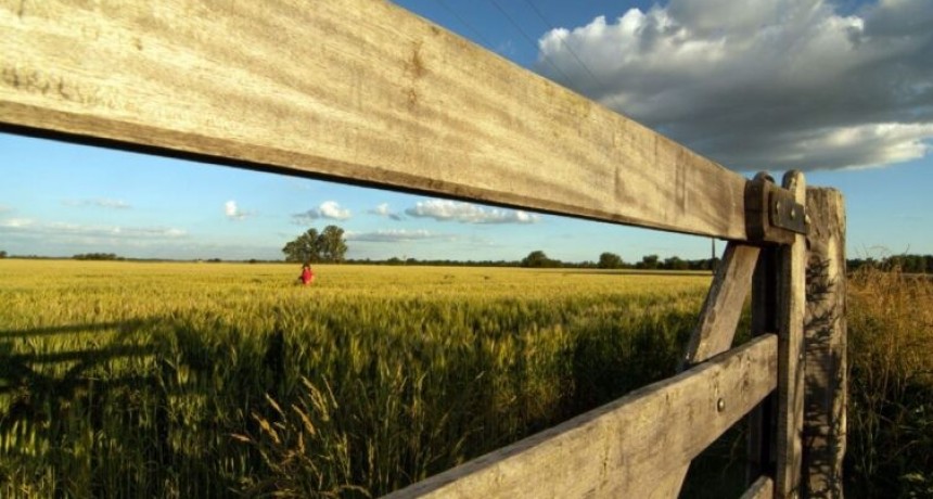 Entidades empresarias y del agro insisten en pedir rebaja de tasa para calcular indemnizaciones
