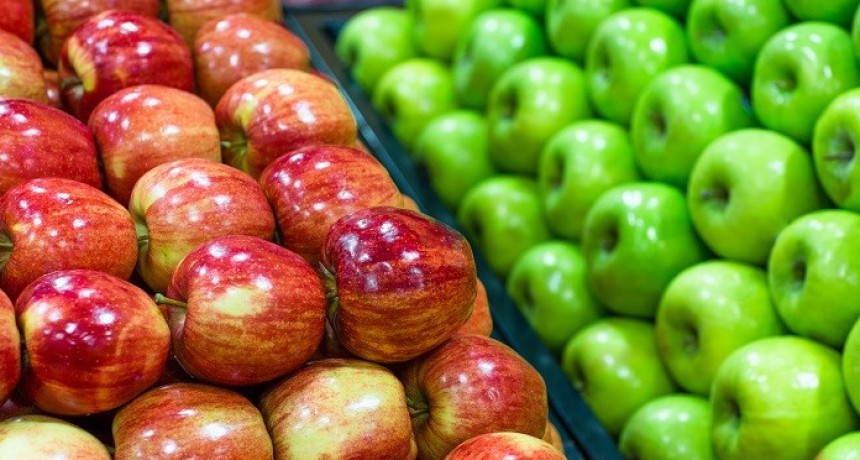 M&aacute;s de 120 contenedores de fruta argentina est&aacute;n varadas en Chile desde hace 45 d&iacute;as