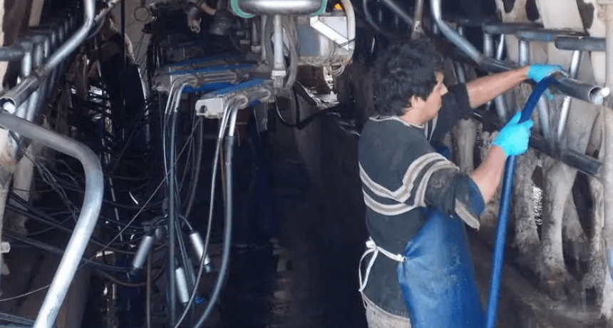 Lecher&iacute;a: CRA celebra la pr&oacute;rroga dela suspensi&oacute;n de los derechos de exportaci&oacute;n