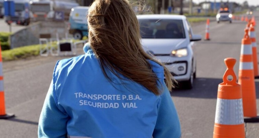 Chau c&eacute;dula azul: qu&eacute; tr&aacute;mite hay que hacer para autorizar a alguien a manejar un auto